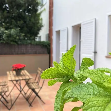 Llebeig -casa Mediterranea Con Gran Jardin